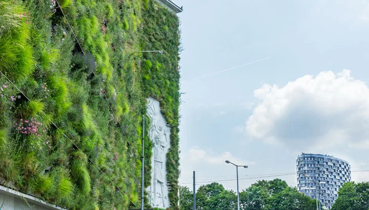 Großflächig begrünte Gebäudewand
