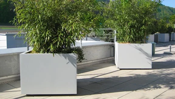 Weiße Pflanztröge mit Bambus auf einer Dachterrasse