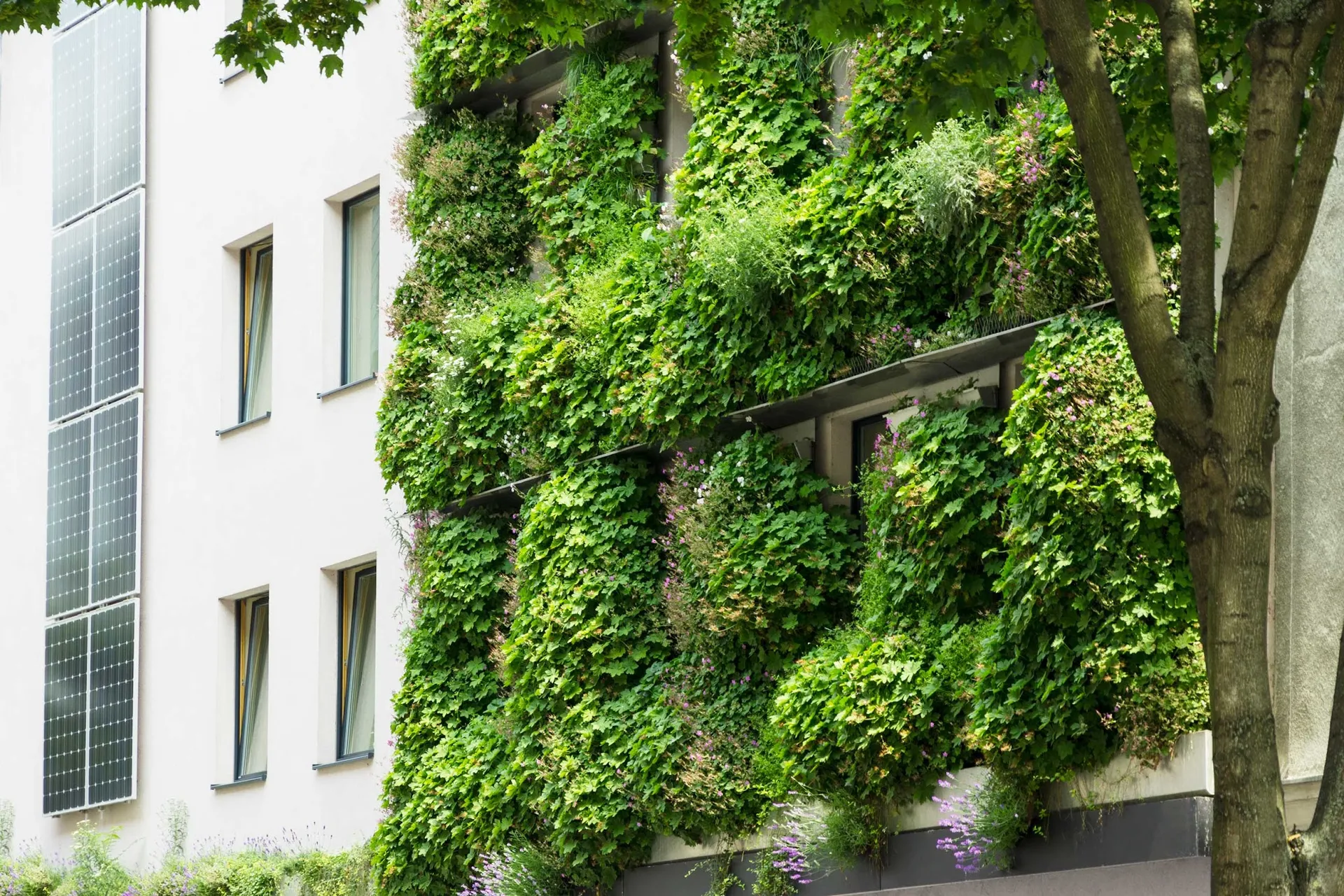 Begrünte Hausfassade mit bepflanzten Trögen über drei Geschosse, daneben Photovoltaik-Module an der Wand